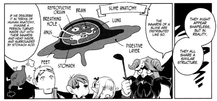 a panel from Delicious in Dungeon where the anatomy of a slime is discussed